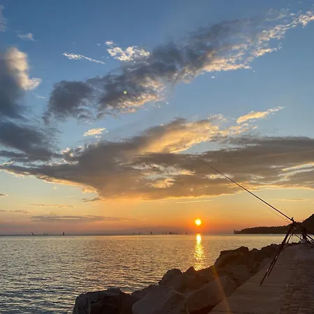 Homeparini A * Trieste